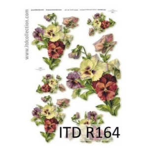 Ριζόχαρτο ITD, 21x29cm R164