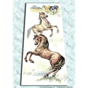 Ριζόχαρτo MONDO για Ντεκουπάζ 30x40cm, T109G