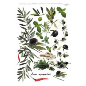 Ριζόχαρτο ITD, 21x29cm R029