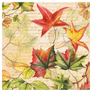 Χαρτοπετσέτα για Decoupage, 1 τεμ. 13306155