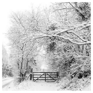 Χαρτοπετσέτα για Decoupage, Χριστουγεννιάτικη, 1τεμ. 33304490