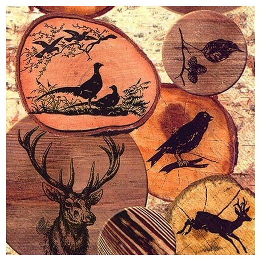 Χαρτοπετσέτα για decoupage, 1 τεμ. L 557700 1 Χαρτοπετσέτα για decoupage, 1 τεμ. L 557700