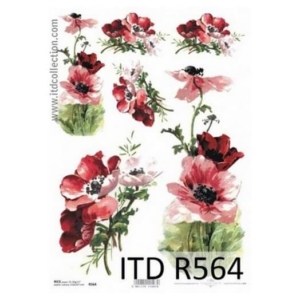 Ριζόχαρτο ITD, 21x29cm R564