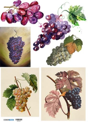 Ριζόχαρτο για Decoupage,  Snack-poster 200107