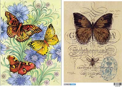 Ριζόχαρτο για Decoupage, Πεταλούδες 2200106 1 Ριζόχαρτο για Decoupage, Πεταλούδες 2200106
