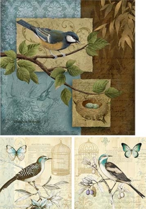Ριζόχαρτο για Decoupage,  Πουλιά 3200101