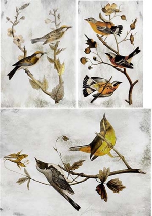 Ριζόχαρτο για Decoupage,  Πουλιά 3200103