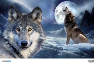 Ριζόχαρτο για Decoupage,  Animals 3300128