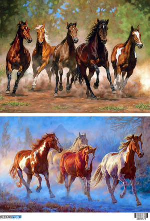 Ριζόχαρτο για Decoupage,  Animals 3300129