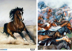 Ριζόχαρτο για Decoupage,  Animals 3300131