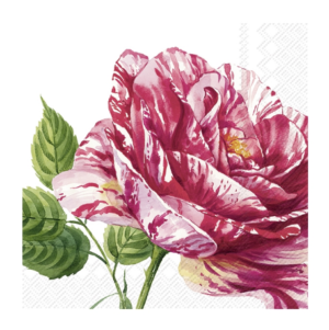 Χαρτοπετσέτα για decoupage, Τριαντάφυλλο Charlotte, 1 τεμ. L947790