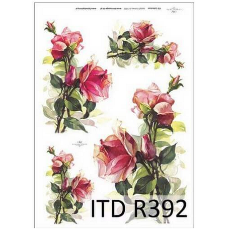 Ριζόχαρτο ITD, 21x29cm R392 1 Ριζόχαρτο ITD, 21x29cm R392