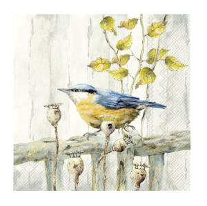 Χαρτοπετσέτα για decoupage, Πουλάκι που κελαηδά, 1 τεμ. L964460