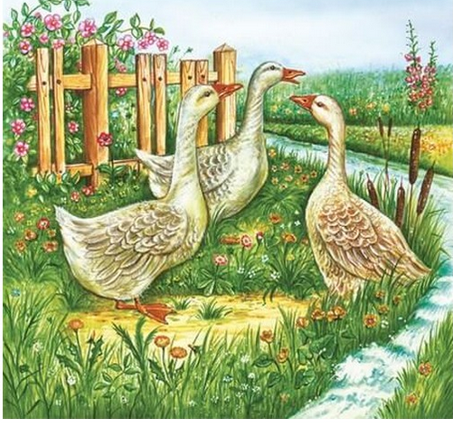 Χαρτοπετσέτα για Decoupage, 1τεμ SDWL_003801 1 Χαρτοπετσέτα για Decoupage, 1τεμ SDWL_003801