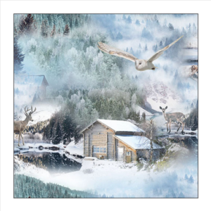 Χαρτοπετσέτα χριστουγεννιάτικη για decoupage, 1τεμ, Κουκουβάγια πάνω τα χιόνια 33315530