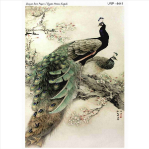 Ριζόχαρτο Rich, 30x42cm, Παγώνια, UPR-4441