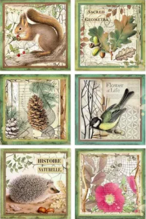 Ριζόχαρτο ντεκουπάζ Stamperia 21x29cm A4, FOREST ANIMALS, DFSA4425