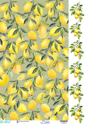 Ριζόχαρτο Α3 HOME & FOOD