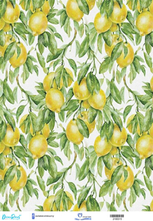 Ριζόχαρτο Α3 HOME & FOOD