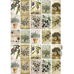 Ριζόχαρτο Α3 HOME & FOOD