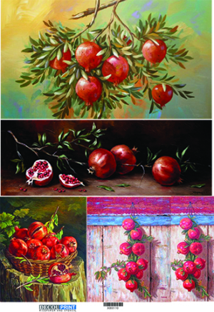 Ριζόχαρτο Α3 HOME & FOOD