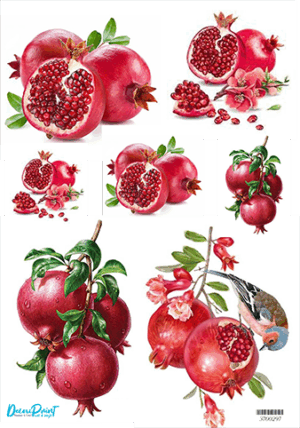 Ριζόχαρτο Α3 HOME & FOOD